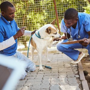 Equipo profesional de la clínica veterinaria Molina de Segura